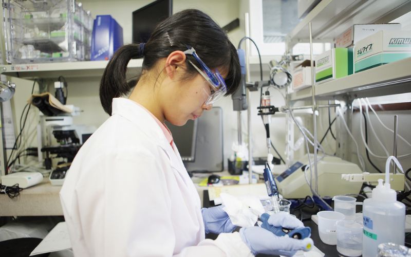 写真：42号表紙