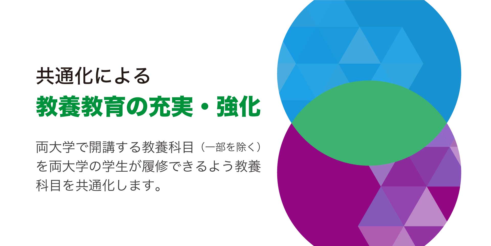 共通化による教養教育の充実・強化